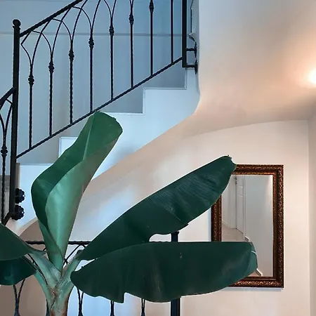 מלון Amber Boutique *