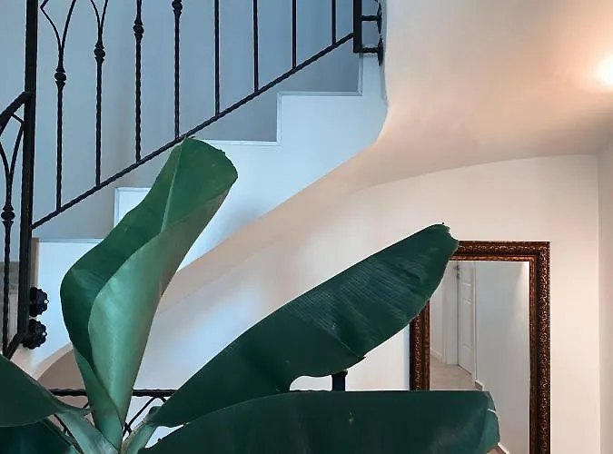 Hotel Amber Boutique *